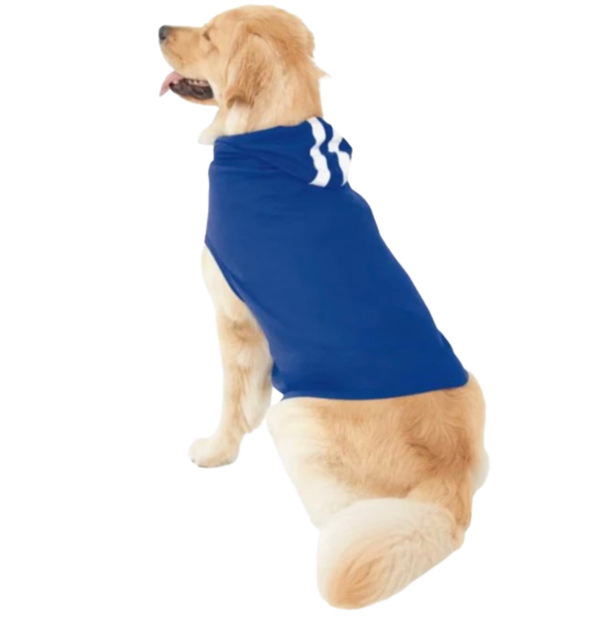 Doggie Baby Rib Hoodie