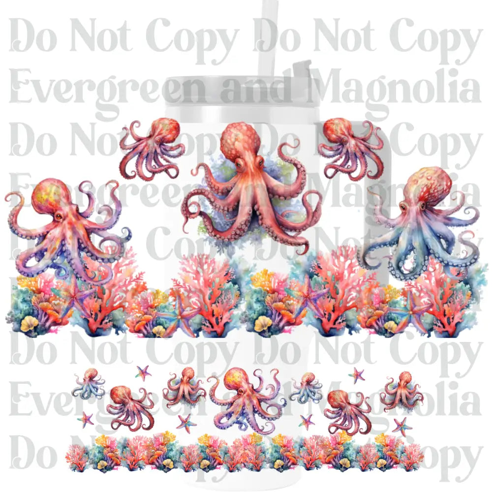 Octopus 1