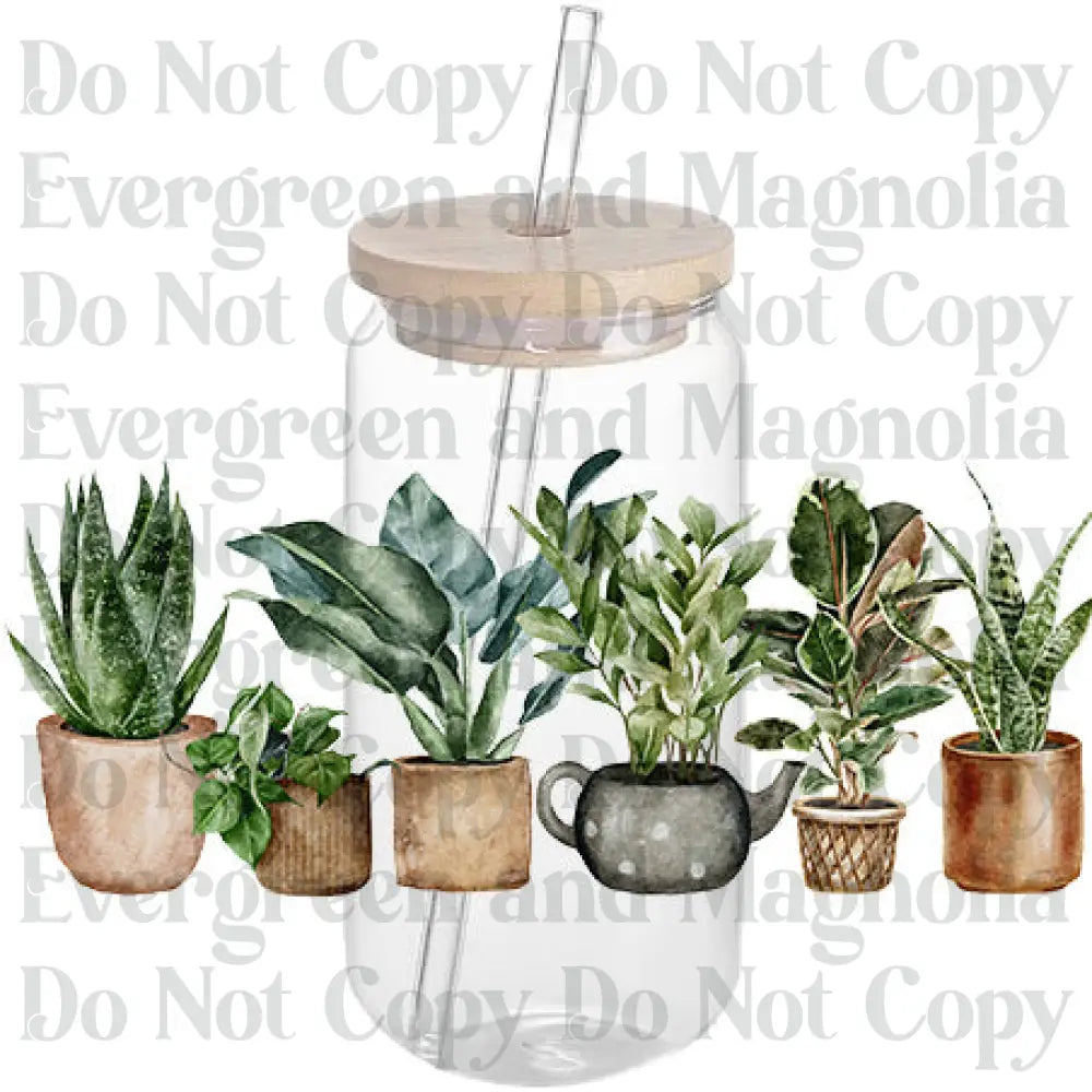 PLANT LADY 17