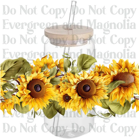 Sunflower 26