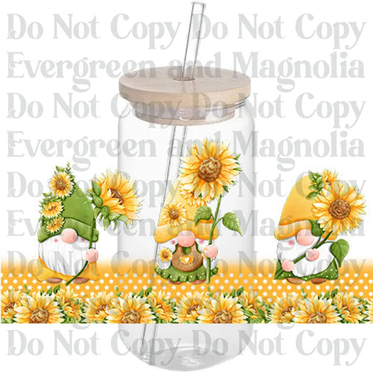 Sunflower 27