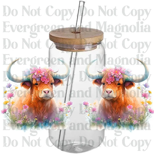 Cow 37