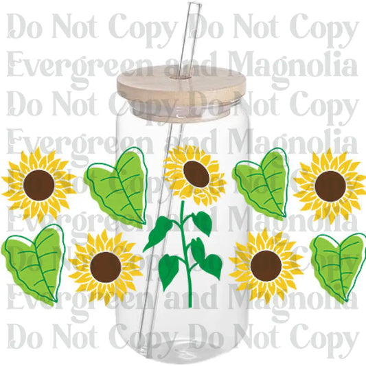 Sunflower 5