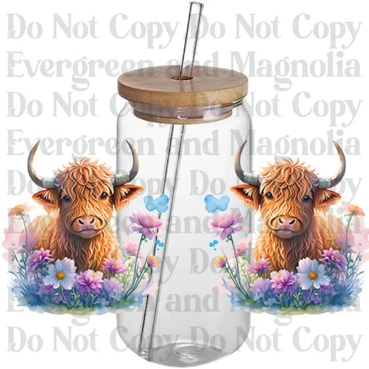 Cow 43
