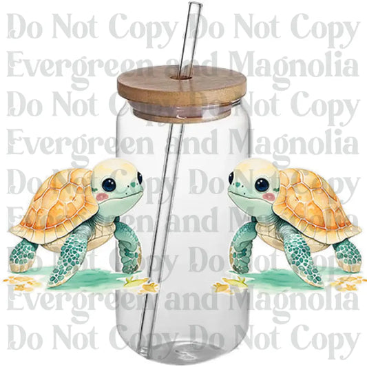 Turtle 9
