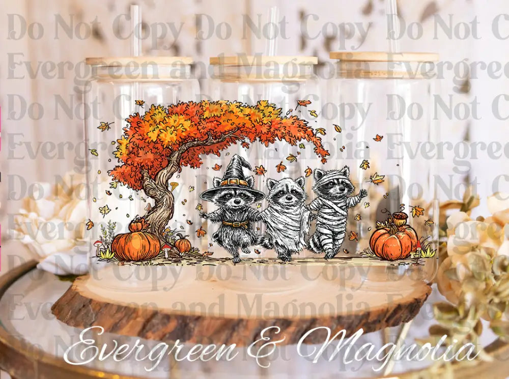 Fall raccoons