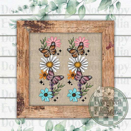 Spring daisy butterfly