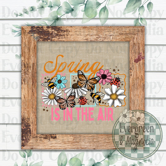 Spring Is In The Air